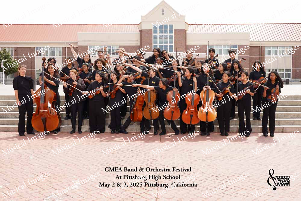 Musical Images